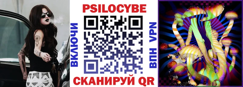 закладка  Шумиха  Псилоцибиновые грибы Cubensis 